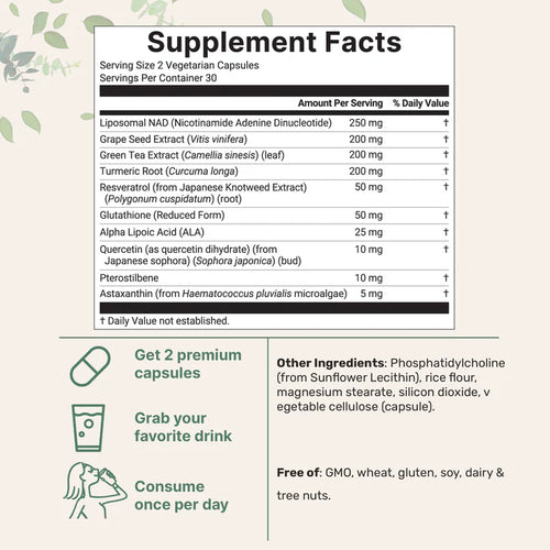 Matovia Liposomal NAD+