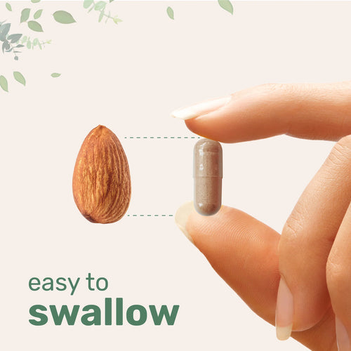 Matovia Liposomal NAD+