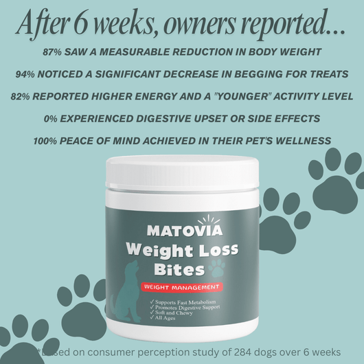 Weight Loss Bites - Matovia