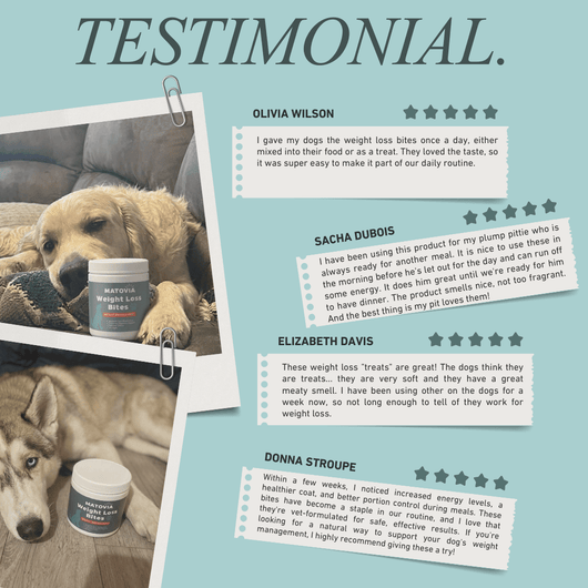 Weight Loss Bites - Matovia