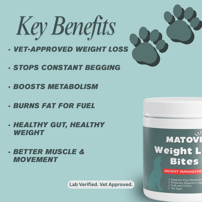 Weight Loss Bites - Matovia