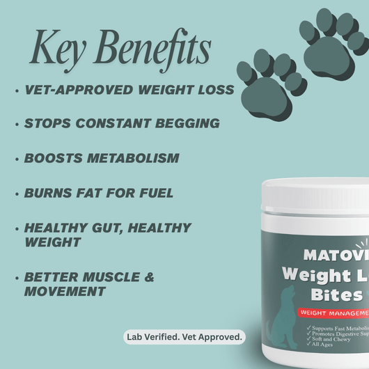 Weight Loss Bites - Matovia