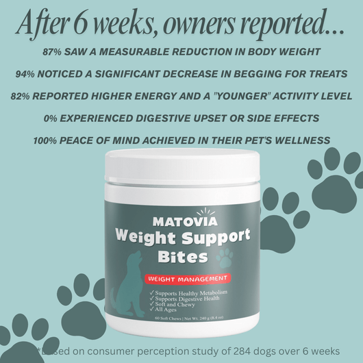 Weight Support Bites - Matovia